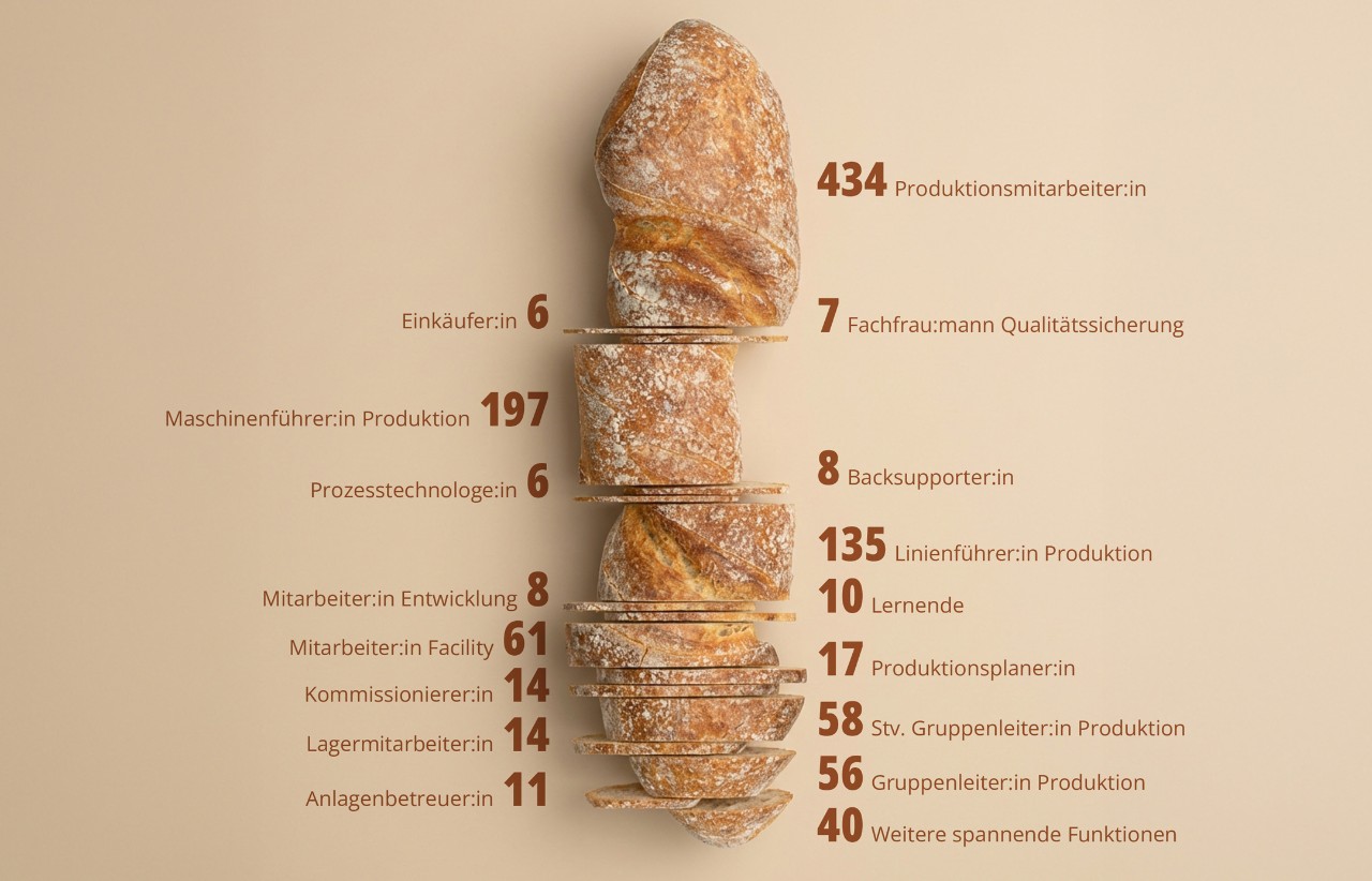 Foto Grafik Funktionslandschaft