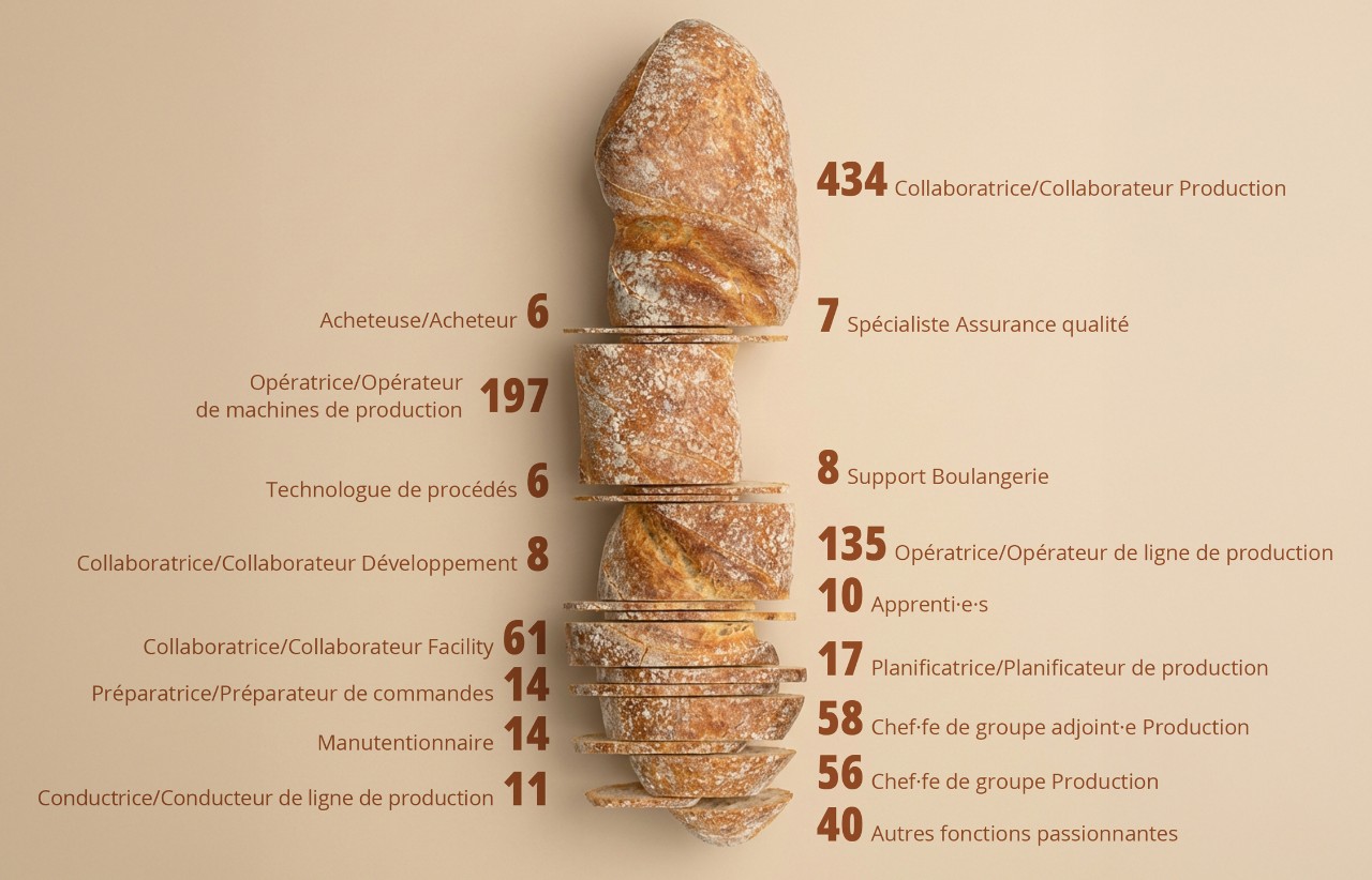 Foto Grafik Funktionslandschaft