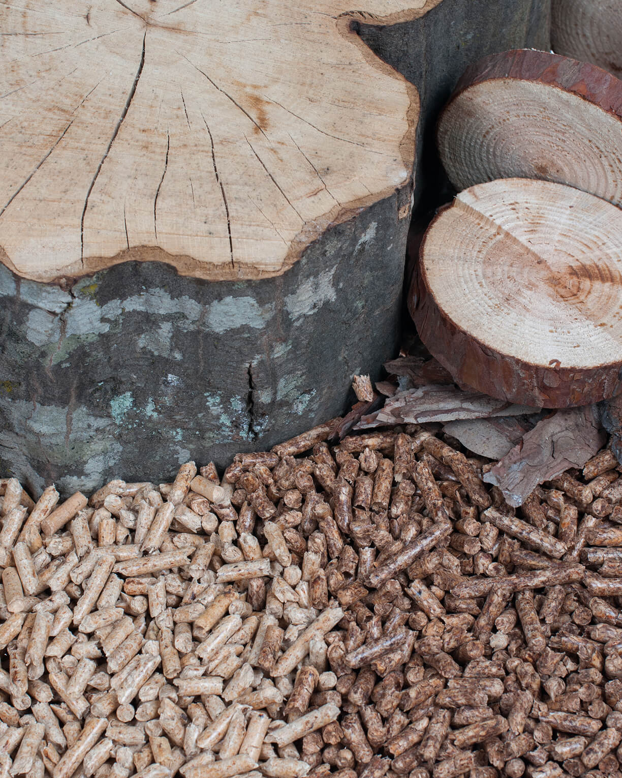 Holzpelletes