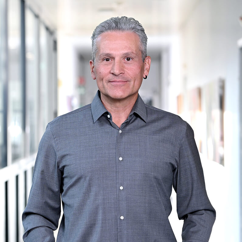 Foto Leiter Castione