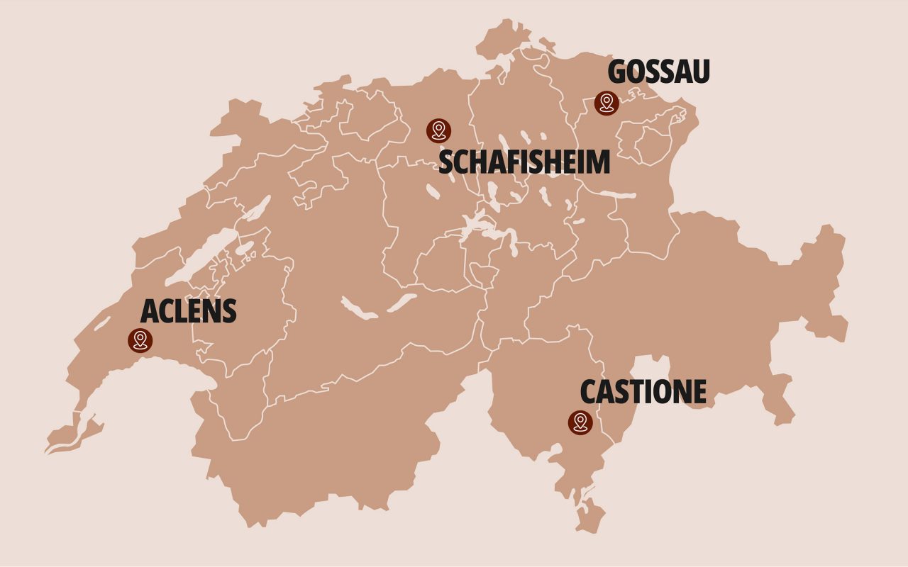 Karte Schweiz mit 4 Panofina Standorten